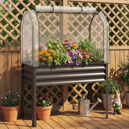 Galvanized Raised Garden Bed with Legs and Greenhouse Cover for Vegetable Flower-Black - Color: Black